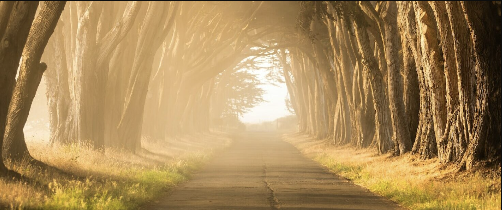 VIAJANDO POR UN CAMINO VIBRANTE